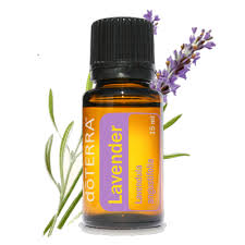 Lavendel